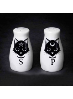 Witches Familiar Black Cat Salt & Pepper Shaker Set