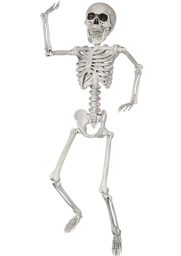 Skeleton 24" Indoor or Outdoor Decoration