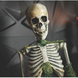 Animated Mossy Skeleton Tabletop Decoration