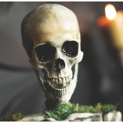 Animated Mossy Skeleton Tabletop Decoration