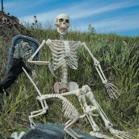 Life Size Posable Skeleton