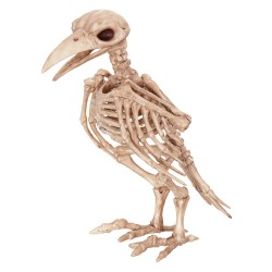 Raven Skeleton Bird Creepy Decoration