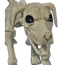 Beagle Bonez Dog Skeleton Creepy Decoration