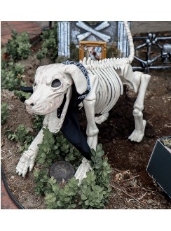 Beagle Bonez Dog Skeleton Creepy Decoration