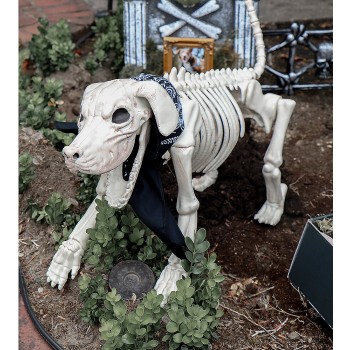 Beagle Bonez Dog Skeleton Creepy Decoration