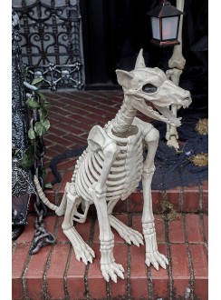 Doberman Dog Skeleton Haunted Prop