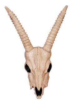 Gazelle Skeleton Skull Creepy Decoration