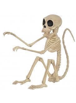 Monkey Skeleton Posable Prop