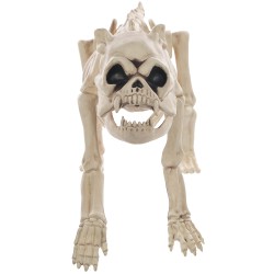 Skeleton Bones the Dog Decoration