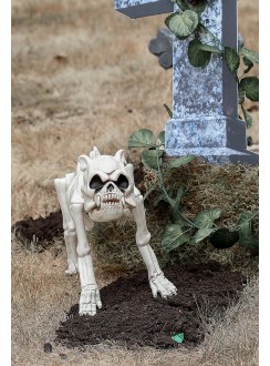 Skeleton Bones the Dog Decoration