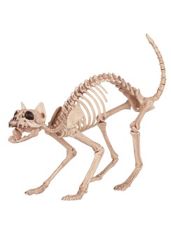 Skeleton Cat Creepy Decor