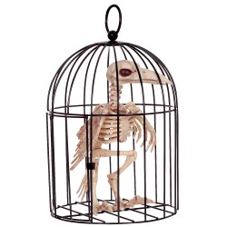 Skeleton Crow in Cage Creepy Prop