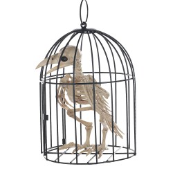 Skeleton Crow in Cage Creepy Prop