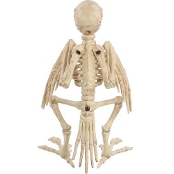 Skeleton Parrot Prop