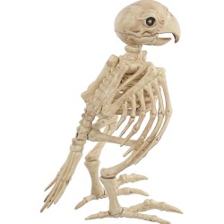 Skeleton Parrot Prop