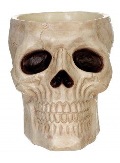 Skull Candy Bowl