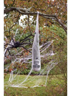 Skull in Spider Cocoon Halloween Prop