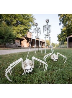 Spider Skeleton Halloween Decoration