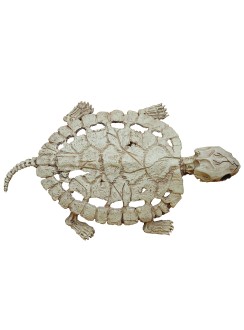 Turtle Skeleton Decoration