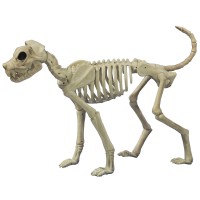 Buster Bonez Dog Skeleton Decoration