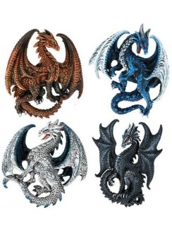 Set of 4 Dragon Magnets