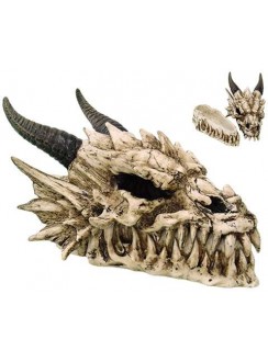 Dragon Skull Box