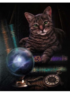 Fortune Teller Cat Canvas Print